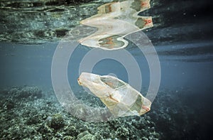 Plastic bag drifting over coral reef underwater