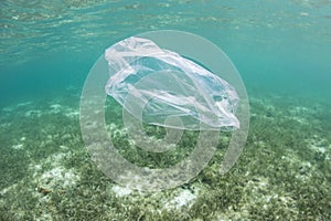 Plastic Bag Drifting in Pacific Ocean