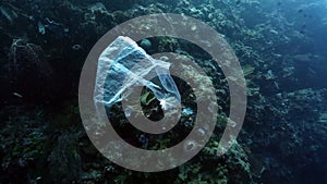 Plastic bag floating past coral reef wall underwater