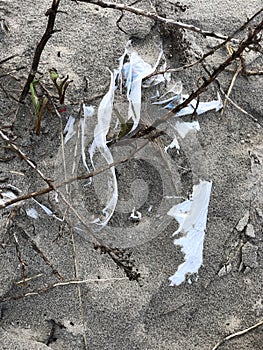 Plastic bag garbage in sand on beach