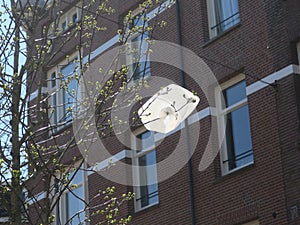 plastic bag hanging on a branch of a tree in springtime