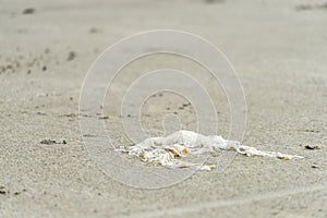 Plastic bag left on the beach make pollution