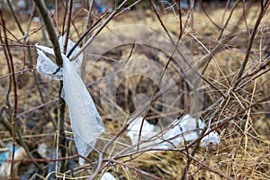 Plastic bag like a scarf on a tree branch. the threat of plastic, polluted nature, preservation of the environment