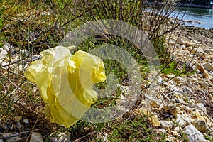 Plastic bag thrown on the sandy shore at the beach, environmental problem.