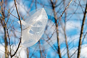 Plastic bag trapped in tree branches