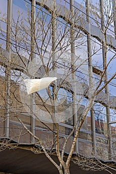 Plastic Bag Tree City