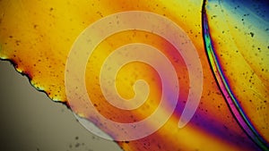 Plastic bag under polarized light microscope