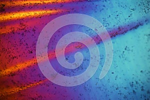 Plastic bag under polarized light microscope