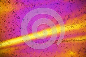 Plastic bag under polarized light microscope