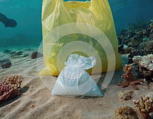 Plastic bag under the sea