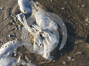 Plastic bag wahed ashore by sea waves