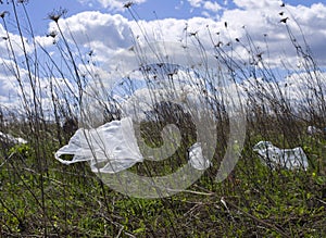 Plastic bags dumped in the meadow