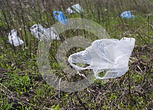 Plastic bags dumped in the meadow