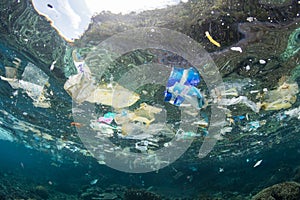 Plastic Bags and Garbage in Tropical Pacific Ocean photo