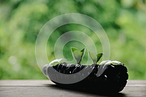 Plastic bags and plastic bottles reused as containers for growing plants. Green tree on plastic bottle. Decoration by using old