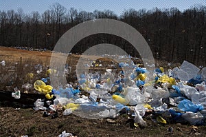 Plastic bags pollution