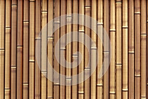 Plastic bamboo fence