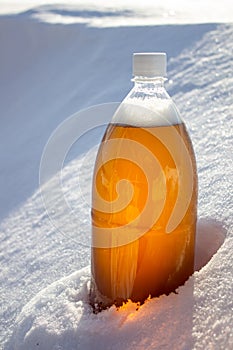 Plastic beer bottle in the snow in winter in nature, beer background