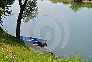 Plastic, blue colored boat in river water, moored to the shore, river bank, with green grass coast