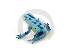 Plastic blue frog toy