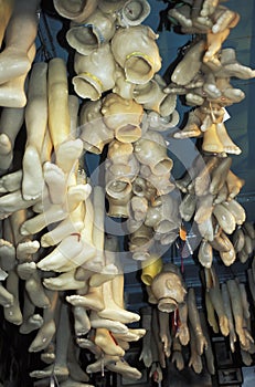 Plastic body parts as votive religious offering, Salvador, Brazil. photo