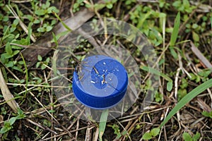 Plastic Bottle Cap on Grass Nature