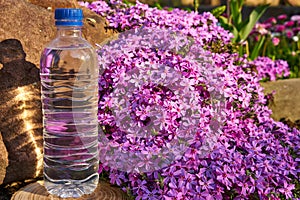 Plastic bottle with clean drinking water.  Bottled water.