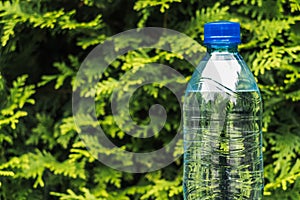 Plastic bottle of clean water on a natural green background.