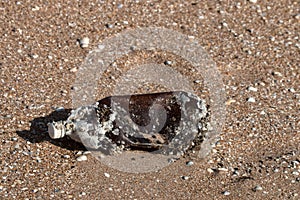 Plastic bottle covered in sea barnacles and cast ashore