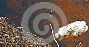 Plastic Bottle Decomposing in Lake Water