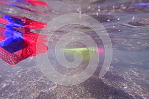 Plastic bottle floating in the beach