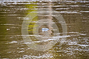 Plastic bottle floating in a river. This type of pollution destroys our rivers and our seas