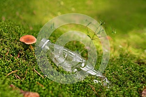 A plastic bottle on forest moss with growing mushrooms