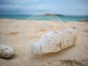 Plastic bottle or Garbage on the Beach