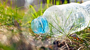 Plastic bottle lies on the grass under a tree in the forest in the rays of sunlight. Environmental pollution, natural environment