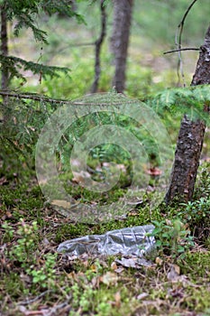 A plastic bottle lies in the middle of the forest. Contamination of the environment with human waste.