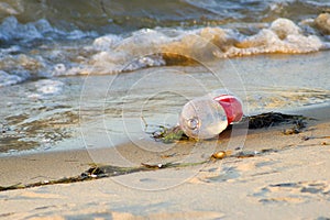 Plastic Bottle Litter on the Beach