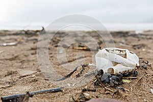 Plastic bottle litter on the beach