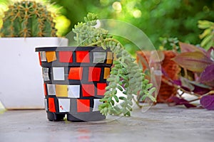 Plastic Bottle Mosaic Colorful Multicolor Planter Beautiful  Plastic Planter