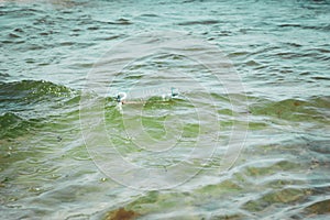 Plastic bottle in ocean water, littering the sea concept image
