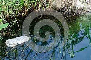 Plastic bottle in pond.