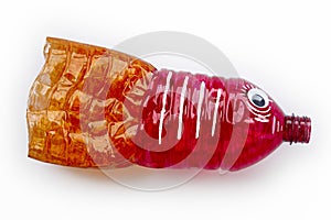 Plastic bottle recycled in a fish figure. Reuse garbabe