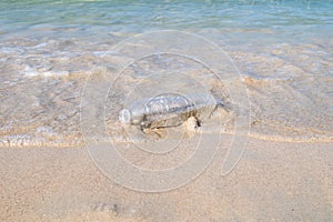 Plastic bottle on sand beach