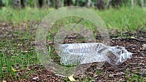 Plastic bottle thrown away in the forest. Garbage. Ecological problems