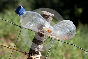 Plastic bottle to scare animals in orchard