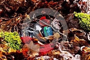 Plastic bottle waste on forest floor closeup