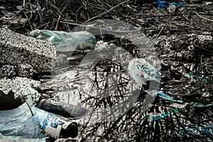 Plastic bottle. Waste garbage in forest and environment. Trash rubbish in woodland. Save nature Ecology and pollution