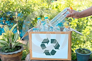 Plastic bottle waste for recycling, reuse concept. Volunteers store plastic bottles in cardboard boxes at a park. Disposal,