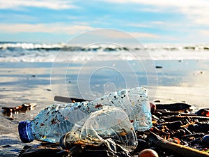 Plastic bottle on wet sand thrown out by the sea wave
