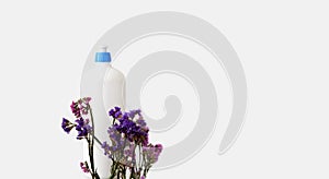 Plastic Bottles against platinum background with dried flower kermek. Ecological detergents for cleaning. Product mockup